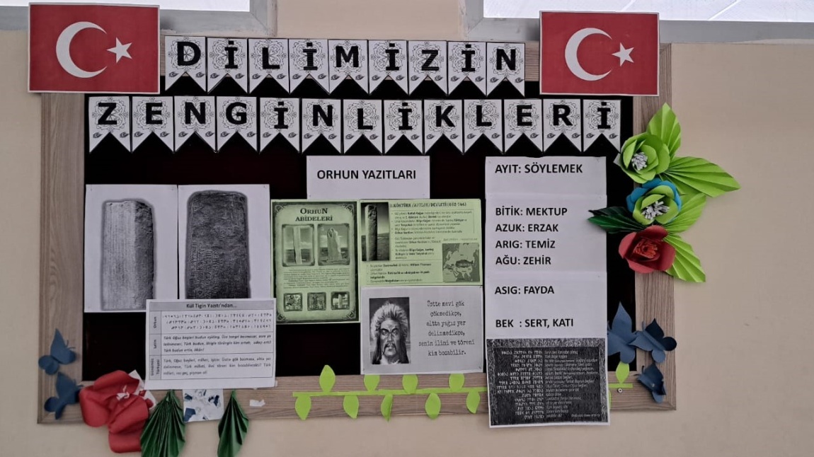 Dilimizin Zenginlikleri Pano Çalışmaları